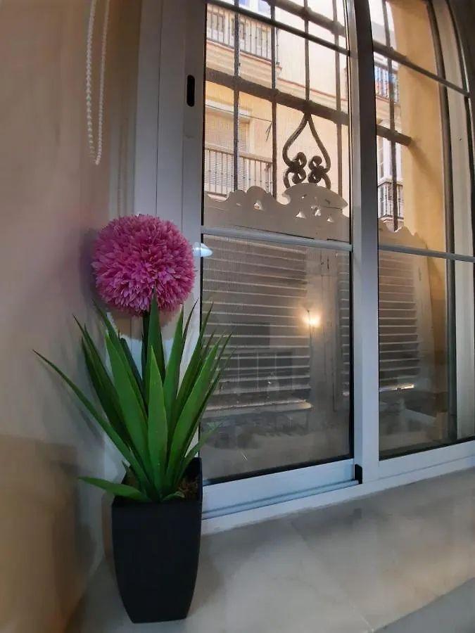 Precioso Duplex En El Corazon De Cadiz 아파트 0*,